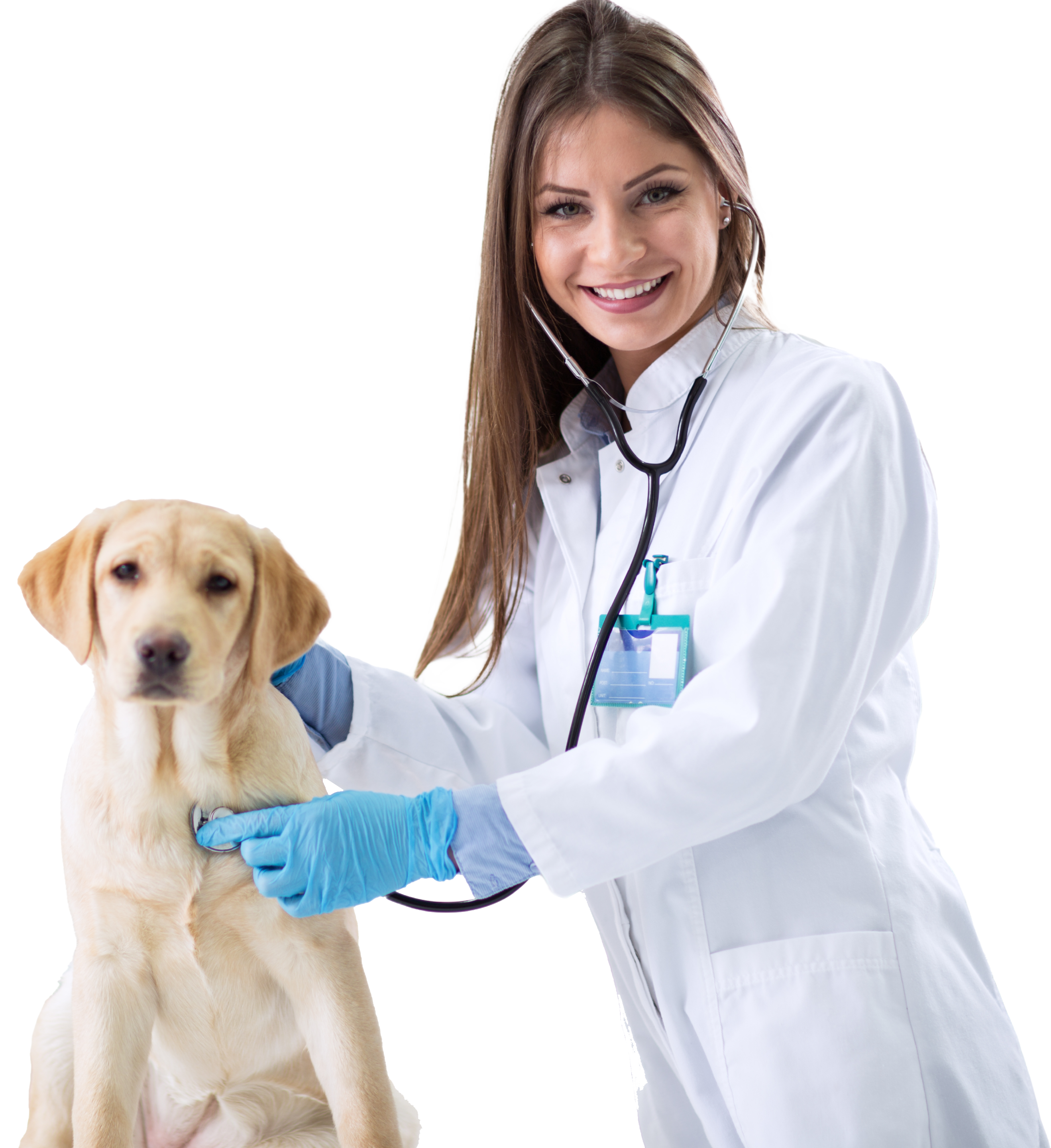 Arquitetura e Urbanismo