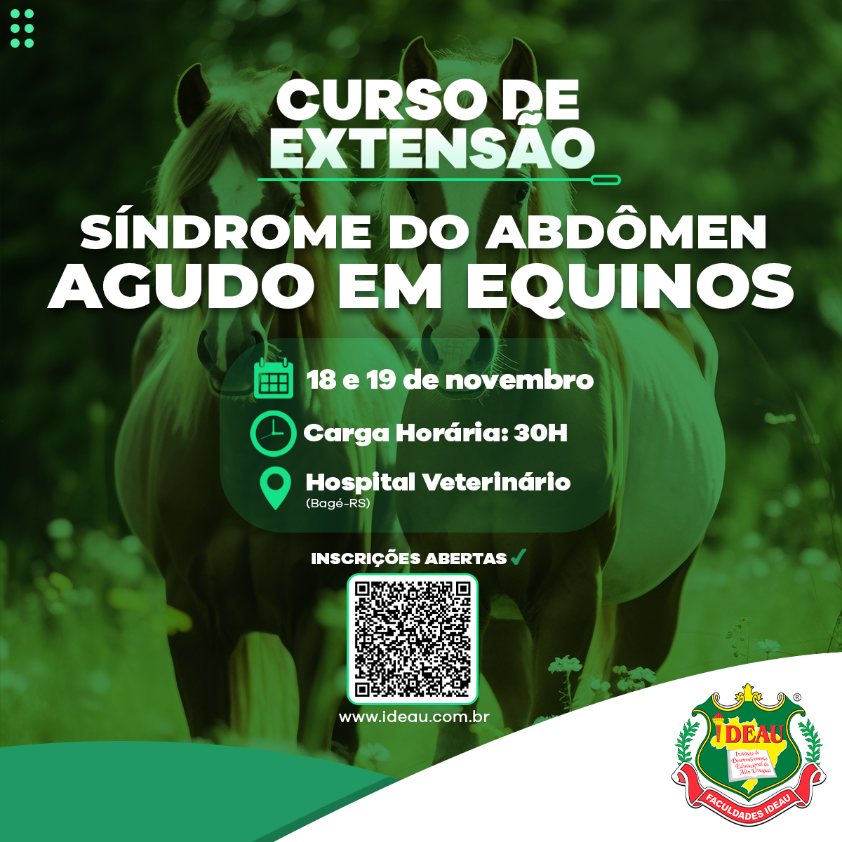 Curso em Síndrome do Abdômen agudo em Equinos