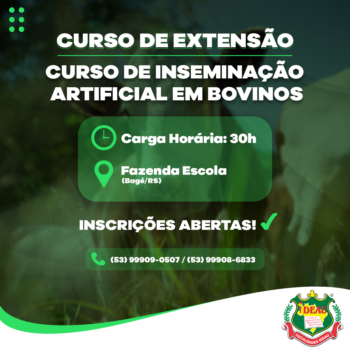 Curso de Ginecologia e Andrologia em Bovinos